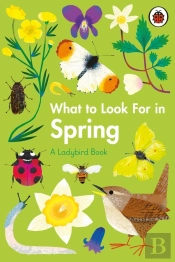 What To Look For In Spring
