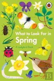 What To Look For In Spring