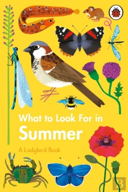 Bertrand.pt - What To Look For In Summer