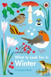 What To Look For In Winter