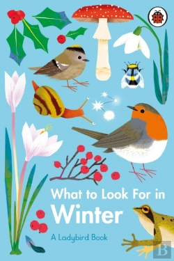 Bertrand.pt - What To Look For In Winter