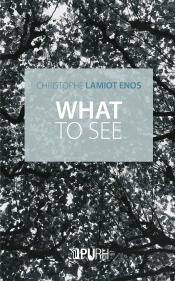 What To See