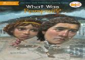 What Was Pompeii?