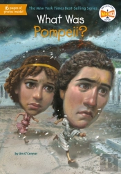 What Was Pompeii?