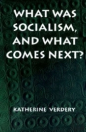 What Was Socialism, And What Comes Next?