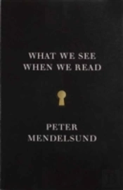 What We See When We Read