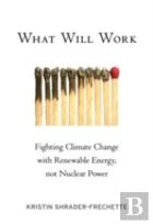 What Will Work