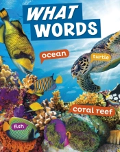 What Words