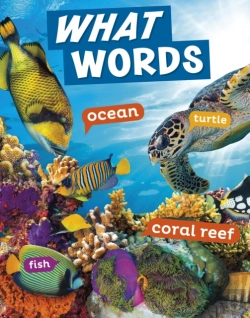 Bertrand.pt - What Words