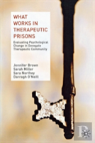What Works In Therapeutic Prisons