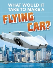 What Would It Take To Build A Flyin