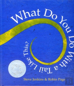 Bertrand.pt - What Would You Do With A Tail Like This?