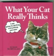 What Your Cat Really Thinks