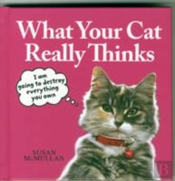 Bertrand.pt - What Your Cat Really Thinks