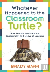 Whatever Happened To The Classroom Turtle?