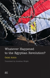 Whatever Happened To The Egyptian Revolution?