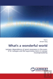 What'S A Wonderful World