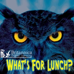 Bertrand.pt - What'S For Lunch?