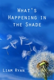 What'S Happening In The Shade