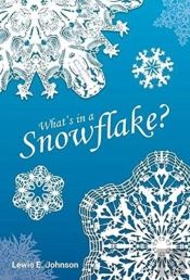 What'S In A Snowflake