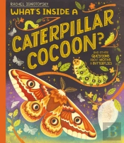 What'S Inside A Caterpillar Cocoon?