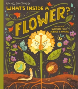 Bertrand.pt - What'S Inside A Flower?