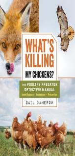 What'S Killing My Chickens?