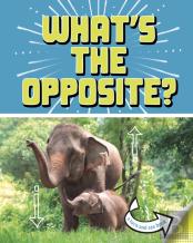 What'S The Opposite?