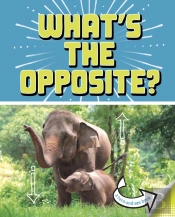 What'S The Opposite?