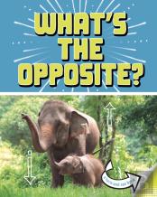 What'S The Opposite?