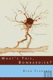 What'S This, Bombardier?