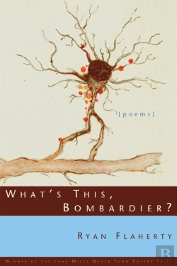 Bertrand.pt - What'S This, Bombardier?
