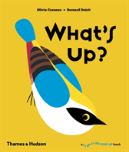 What'S Up?
