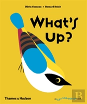 What'S Up?