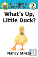 What'S Up Little Duck