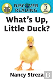 What'S Up Little Duck