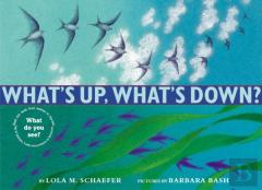 What'S Up, What'S Down?