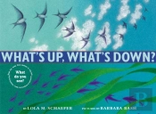 What'S Up, What'S Down?