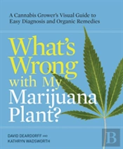 What'S Wrong With My Marijuana Plant?