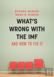 What'S Wrong With The Imf And How To Fix It
