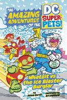 Whatzit Vs The Ice Blaster Burglar