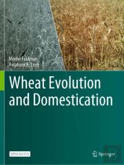 Wheat Evolution And Domestication