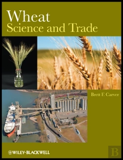 Bertrand.pt - Wheat