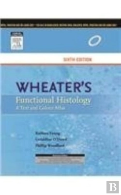 Bertrand.pt - Wheater'S Functional Histology, 6e