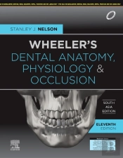 Wheeler'S Dental Anatomy, Physiology And Occlusion, 11e, South Asia Edition