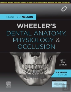 Bertrand.pt - Wheeler'S Dental Anatomy, Physiology And Occlusion, 11e, South Asia Edition
