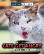 When Cats Get Angry