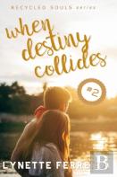 When Destiny Collides (Recycled Souls Book Two)