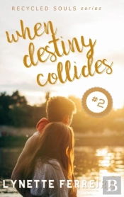 When Destiny Collides (Recycled Souls Book Two)