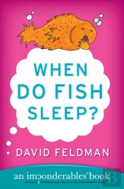 When Do Fish Sleep?